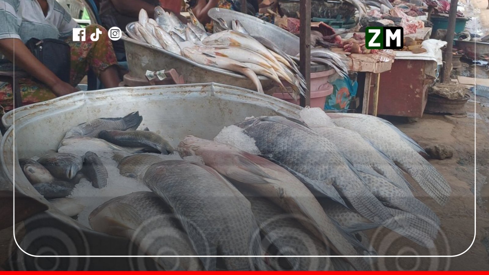 Poisson : le carton de chinchard passe de 36 500 à 31 500 FCFA